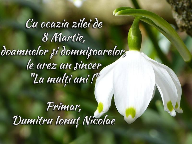 8 Martie 2017-1 8 Martie 2017-1