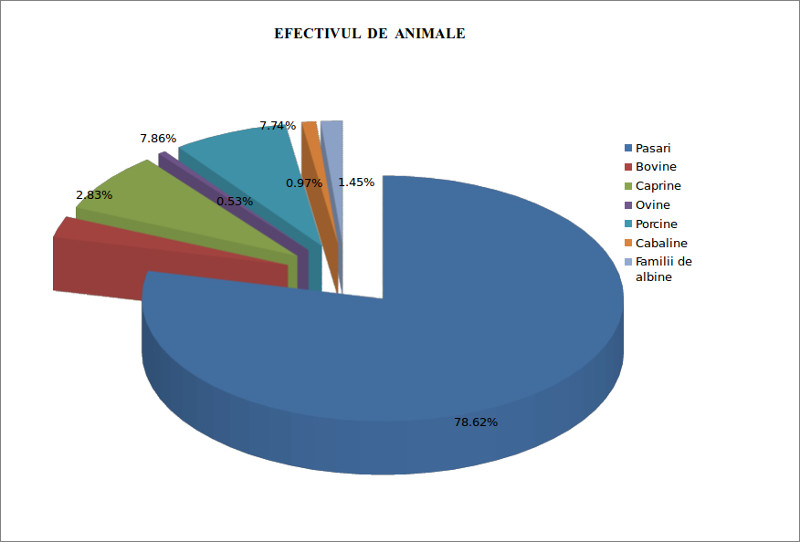 Animale